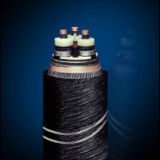 交聯聚乙烯絕緣輕型淺海（湖泊）電力電纜